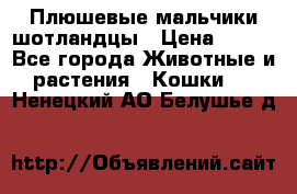 Плюшевые мальчики шотландцы › Цена ­ 500 - Все города Животные и растения » Кошки   . Ненецкий АО,Белушье д.